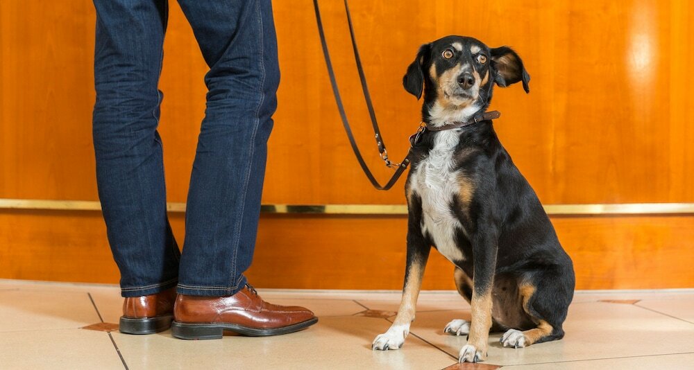 Фото Victor's Residenz-Hotel Saarlouis