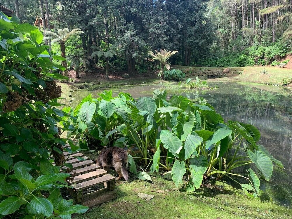 Фото Chalets do Vale