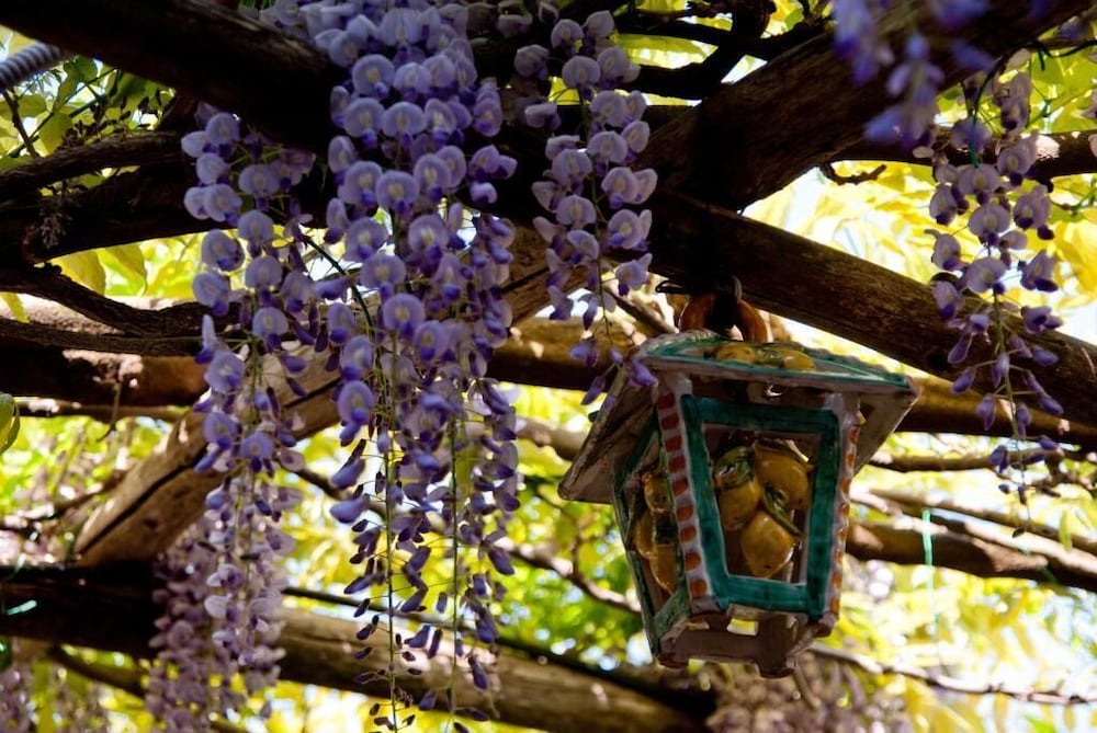 Фото Il Roseto B&b