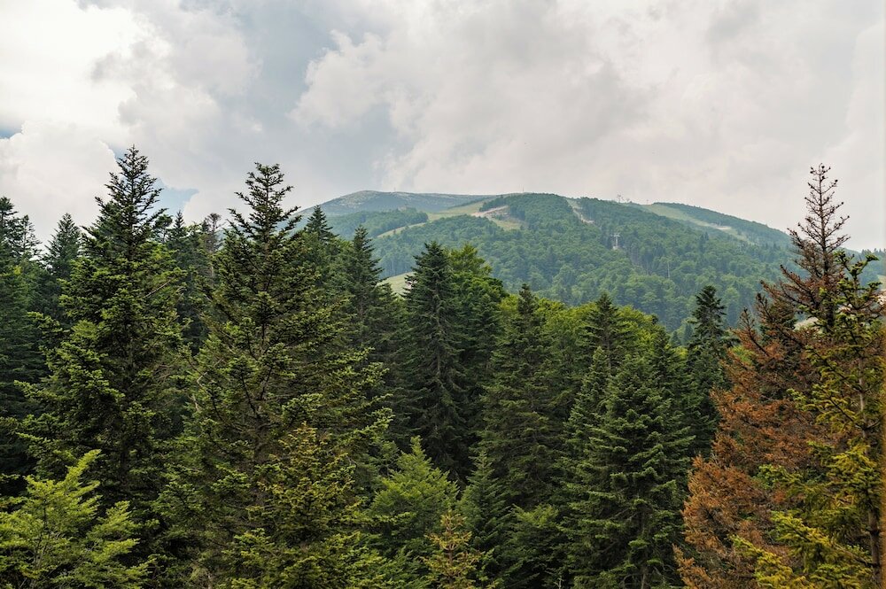 Фото Hotel Nomad