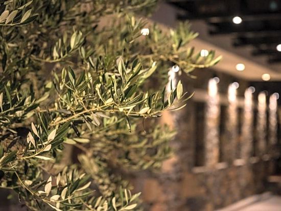 Фото Petousis Hotel & Suites