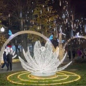 Фото Аврора