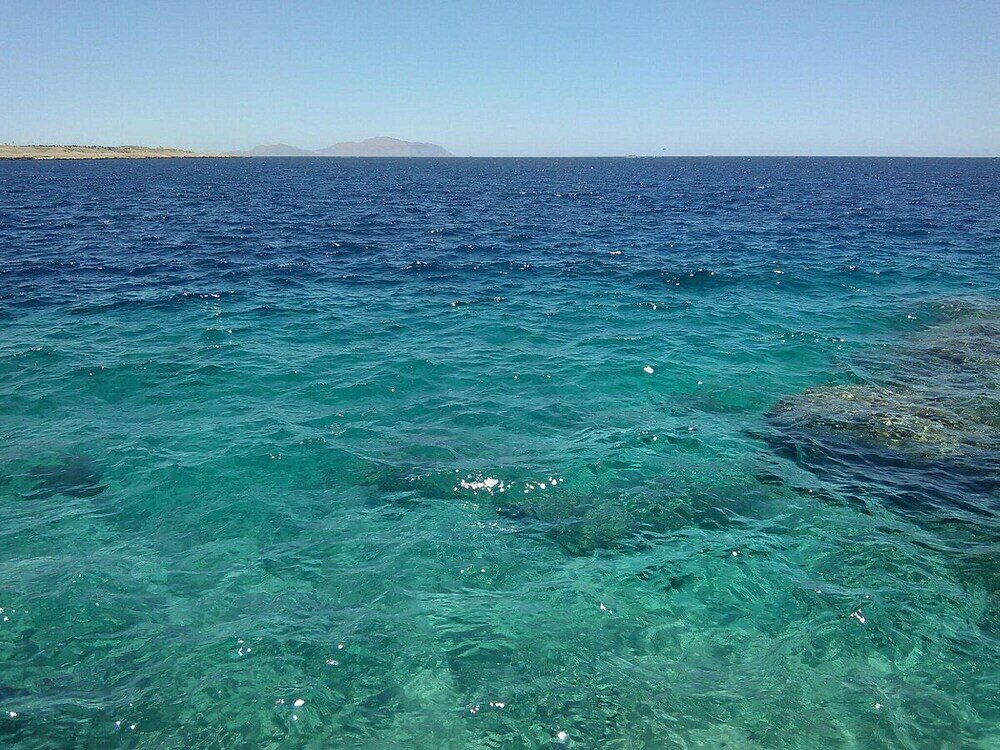 Фото Grand Halomy Resort