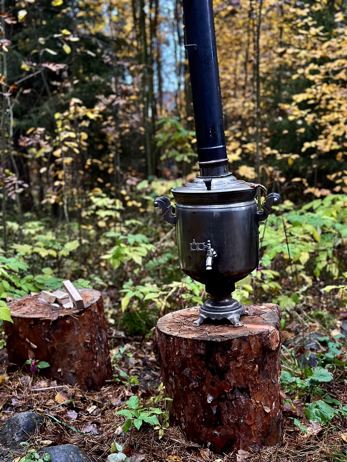 Фото Вырицкие Тарханы