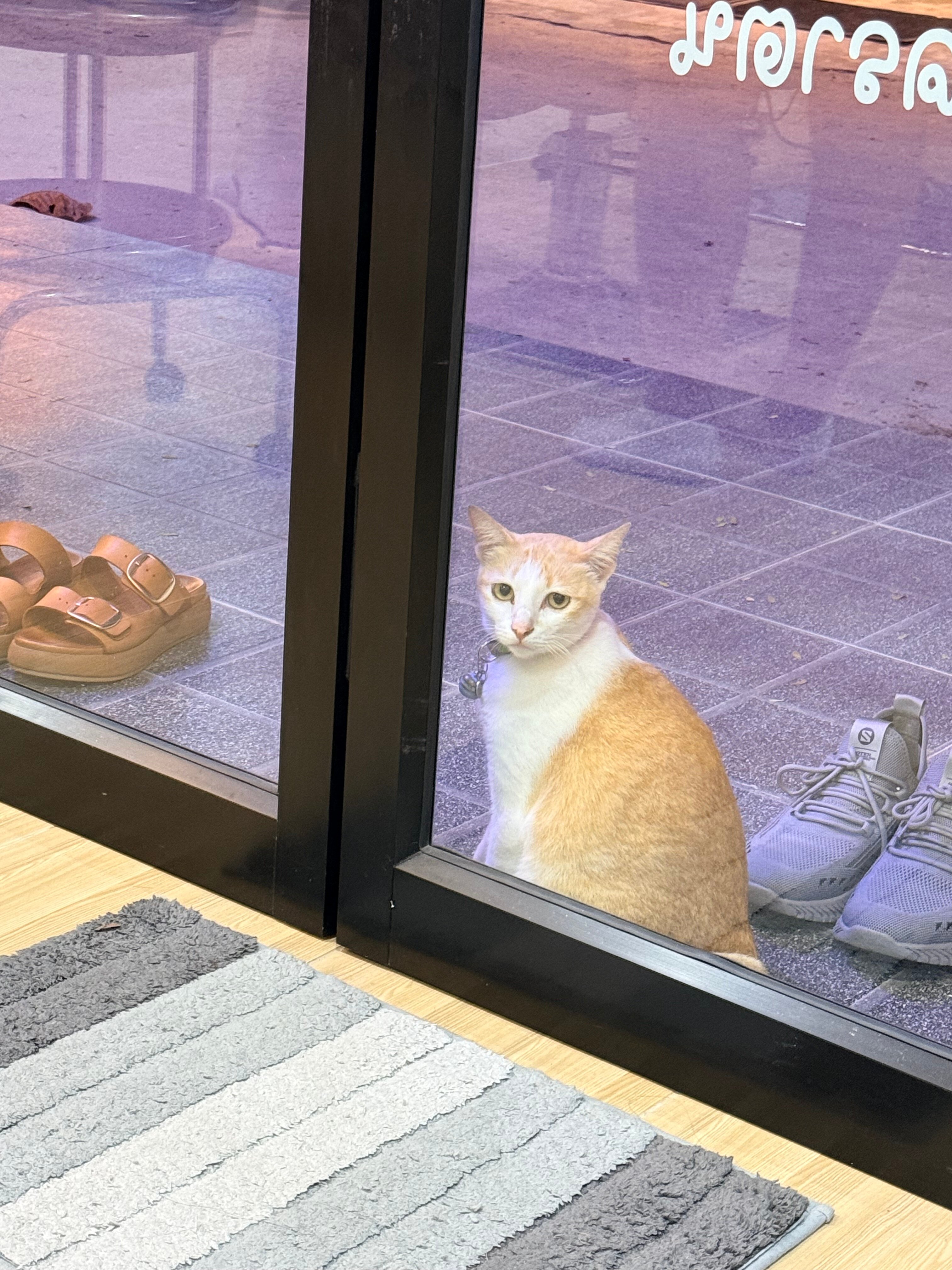 Фото Oyo 510 Thai Palace Resort