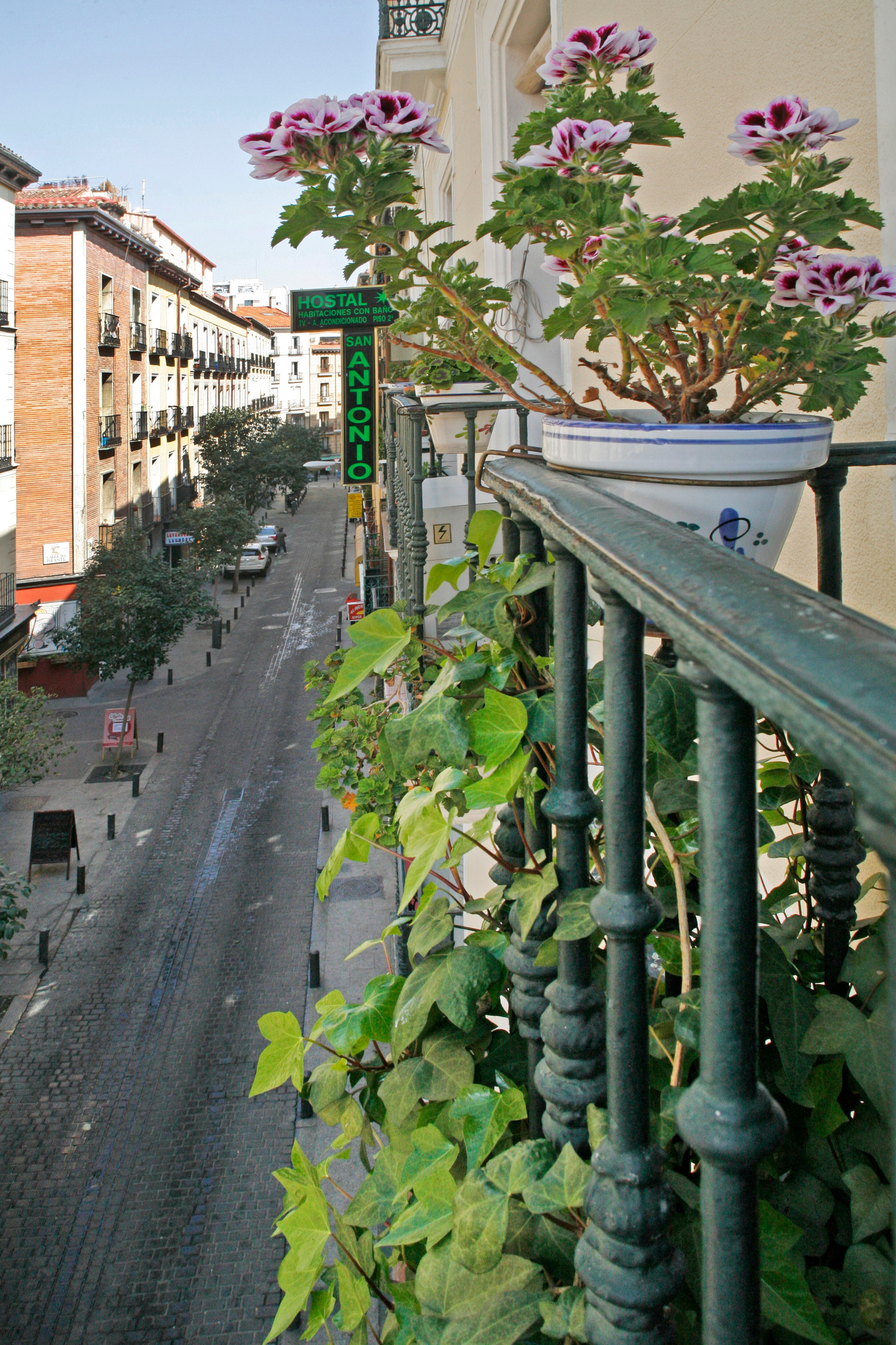 Фото Hostal San Antonio