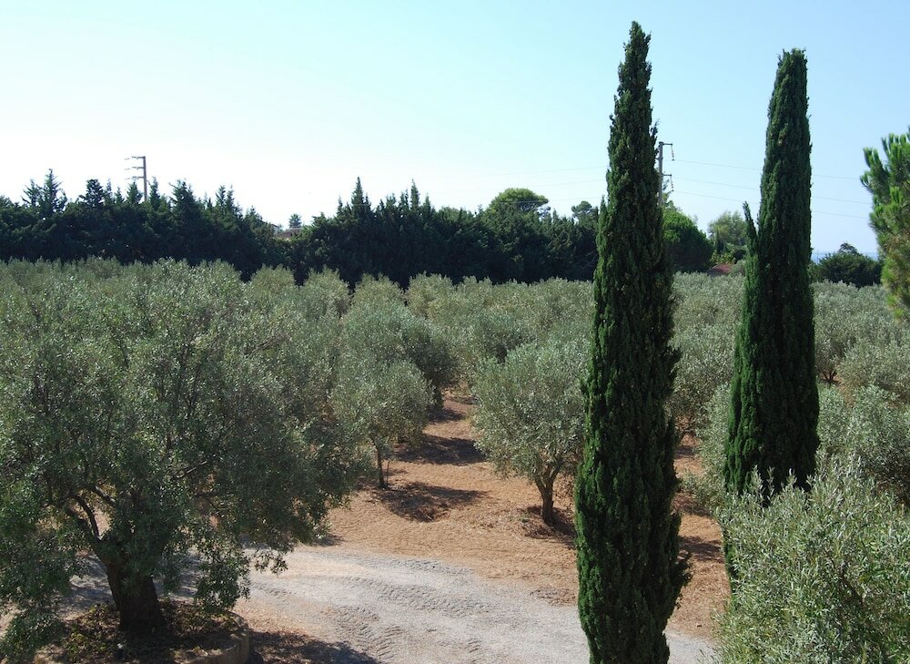 Фото Fattoria Il Borghetto