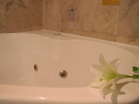 Фото Novotel Sydney Brighton Beach