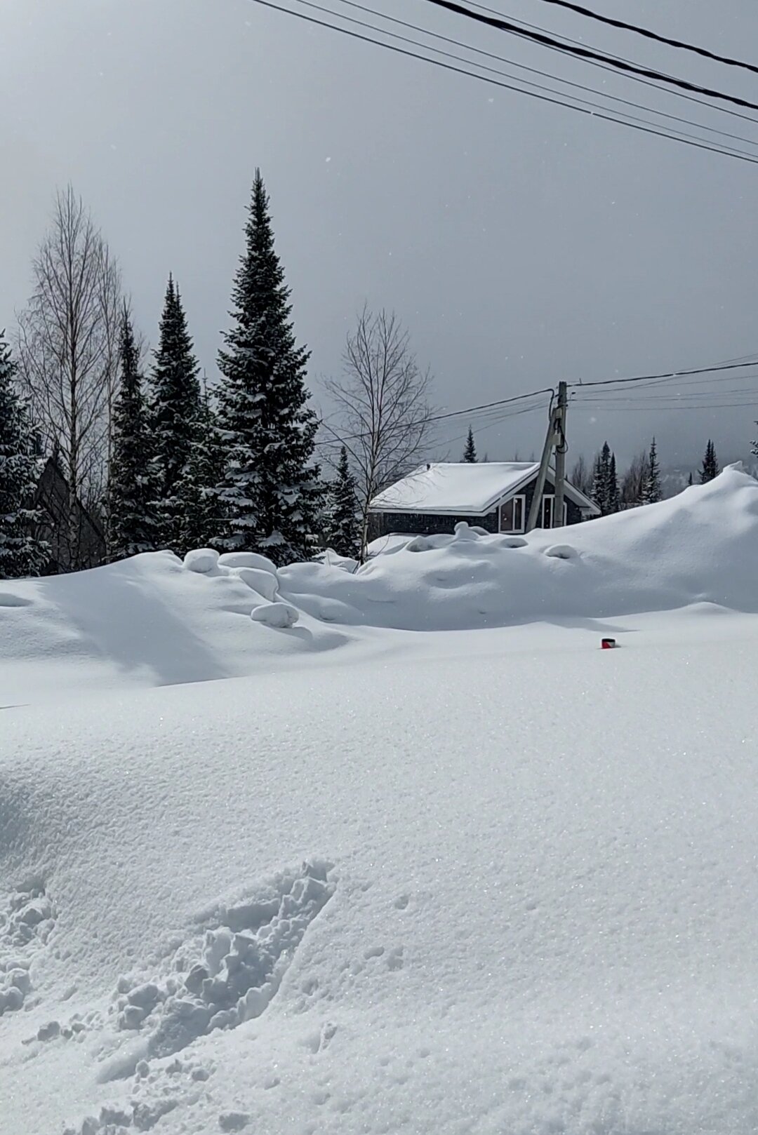 Фото Альпийский Home Club