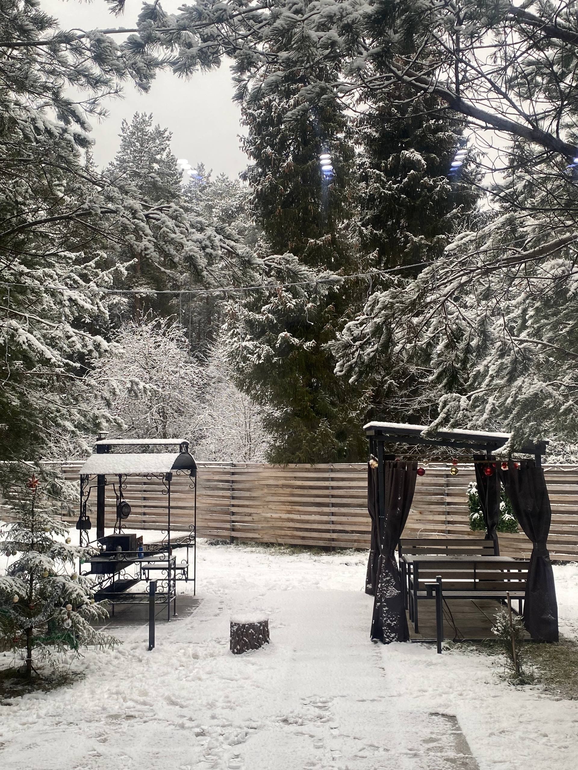 Фото Лесная поляна