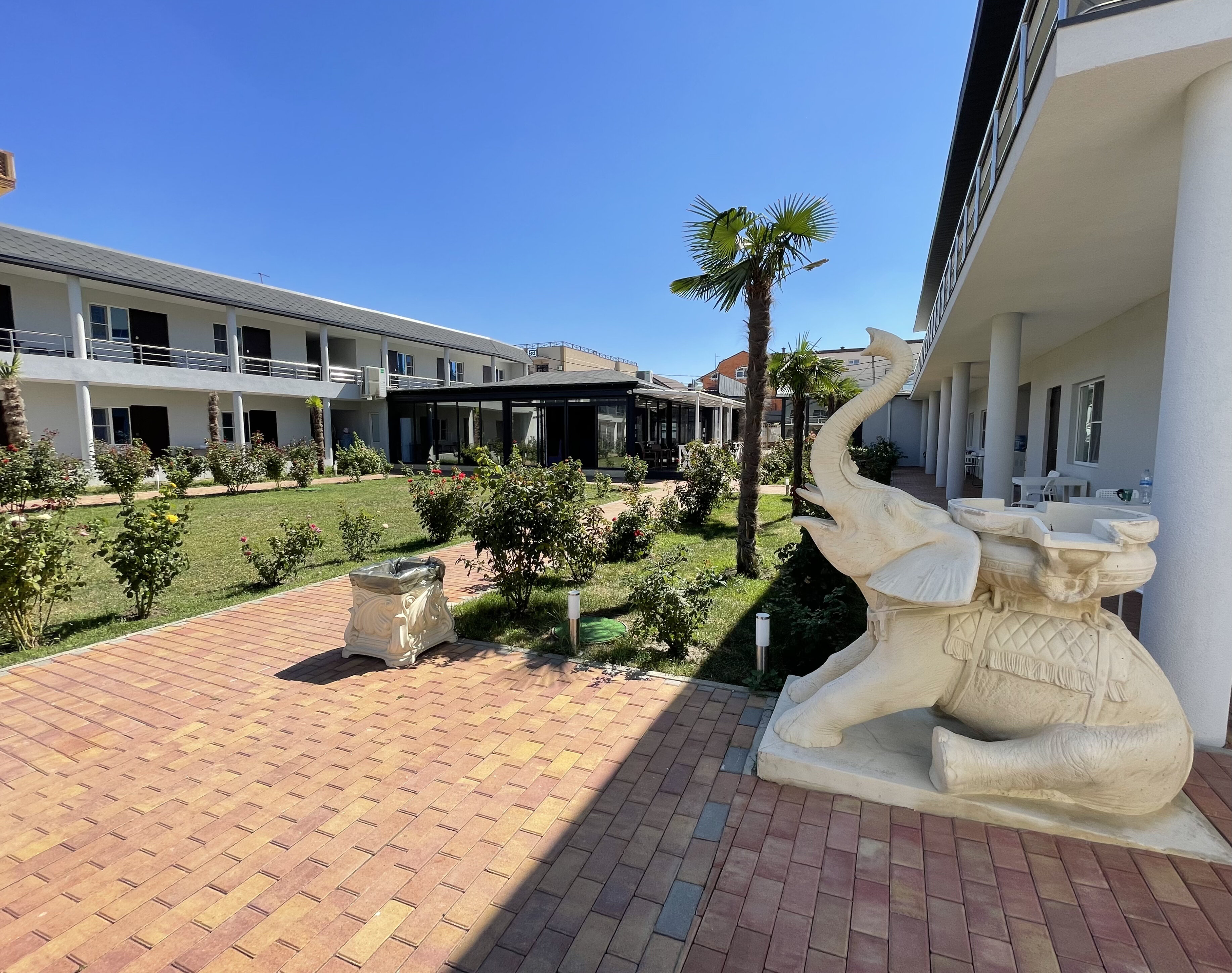 Фото Здоровье