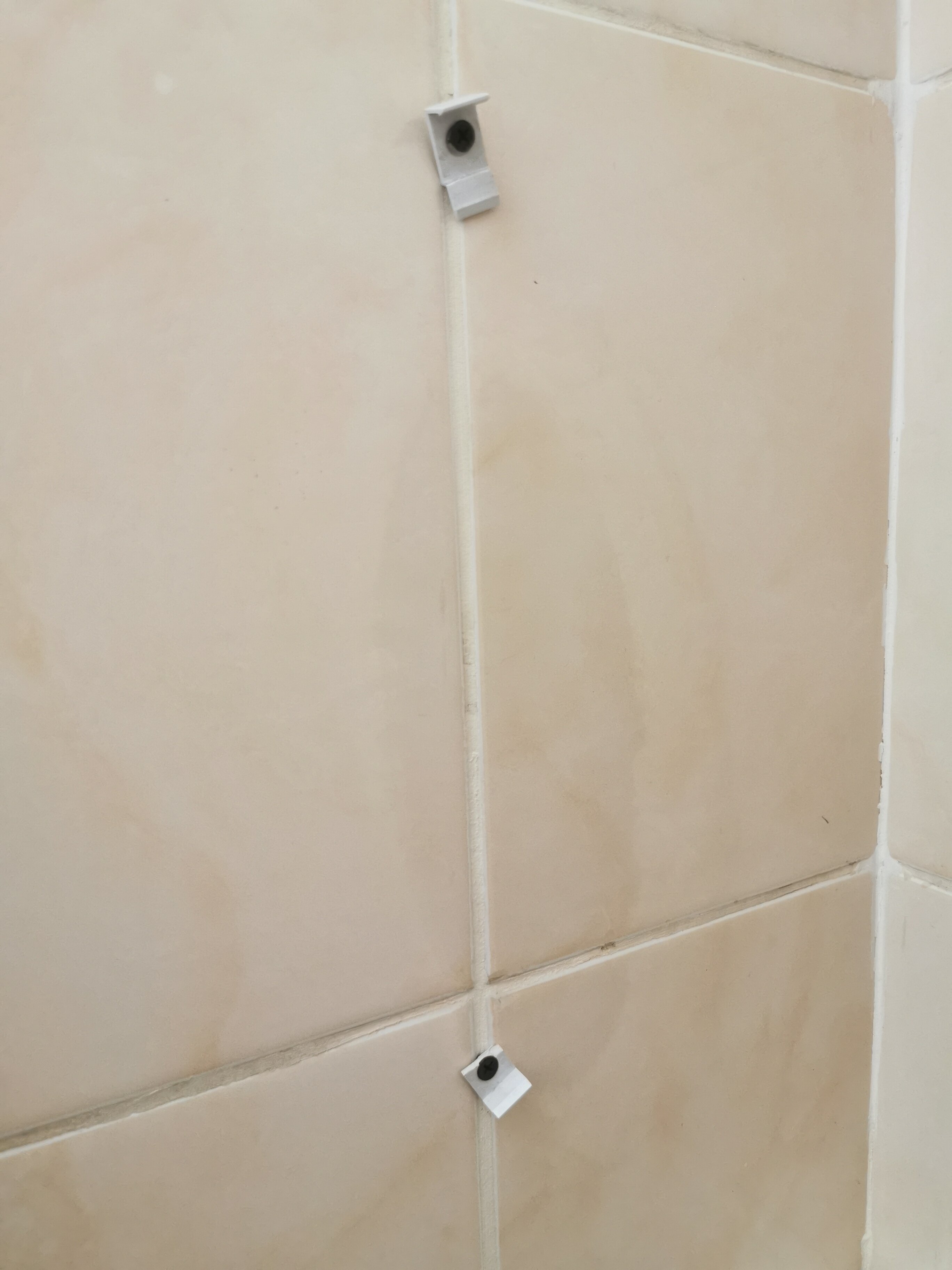 Фото Золотой колос