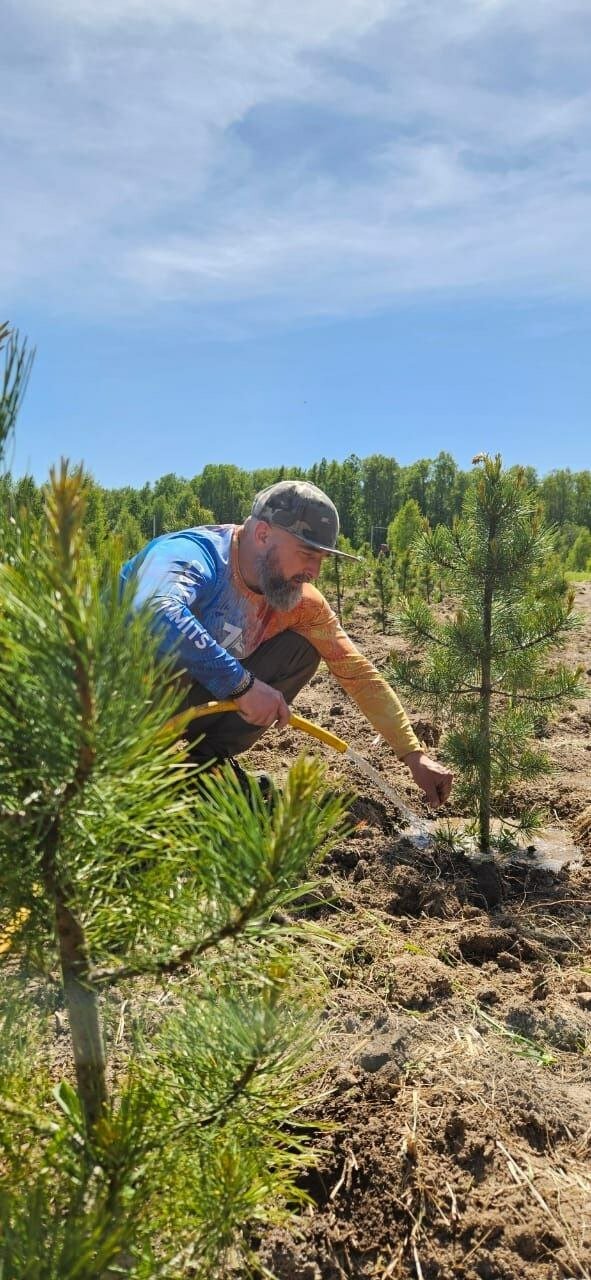 Фото Дом здоровья Кедровый