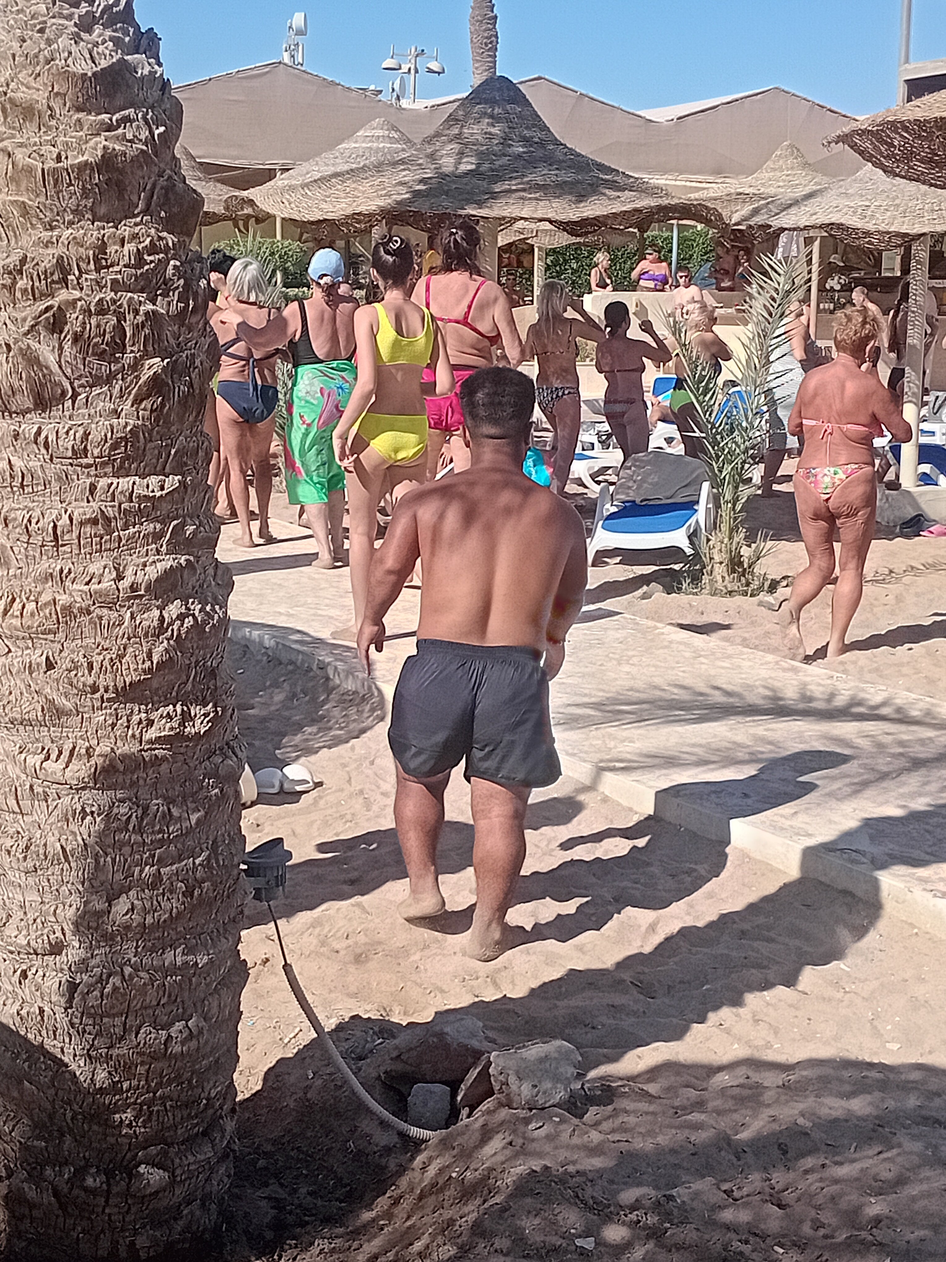 Фото Cataract Sharm Resort