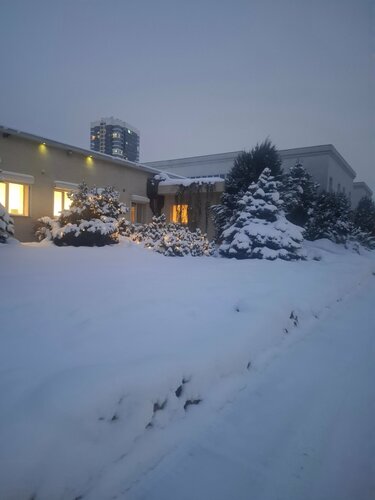 Швейцарский дом — фото 5