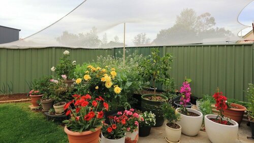 Гостиница Sapphire City Motor Inn, Inverell в Инверелле