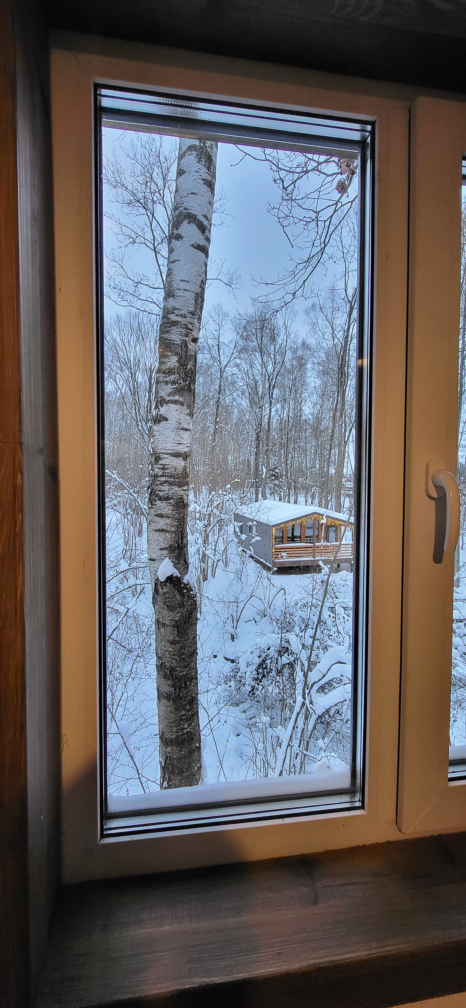 Фото Ореховая роща