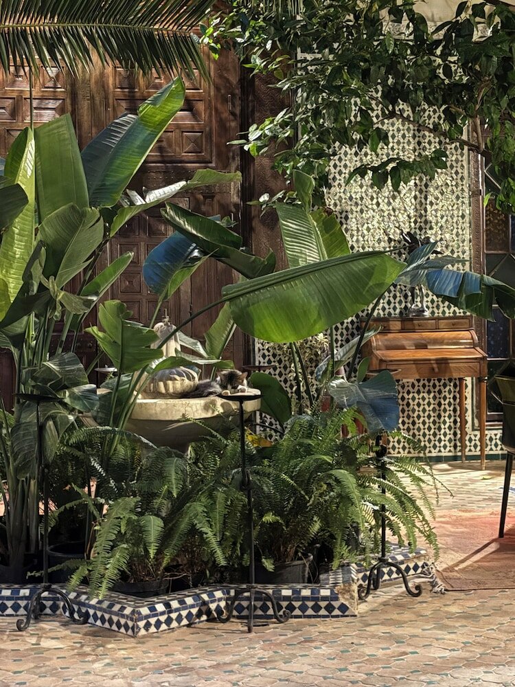 Фото Riad Harmattan