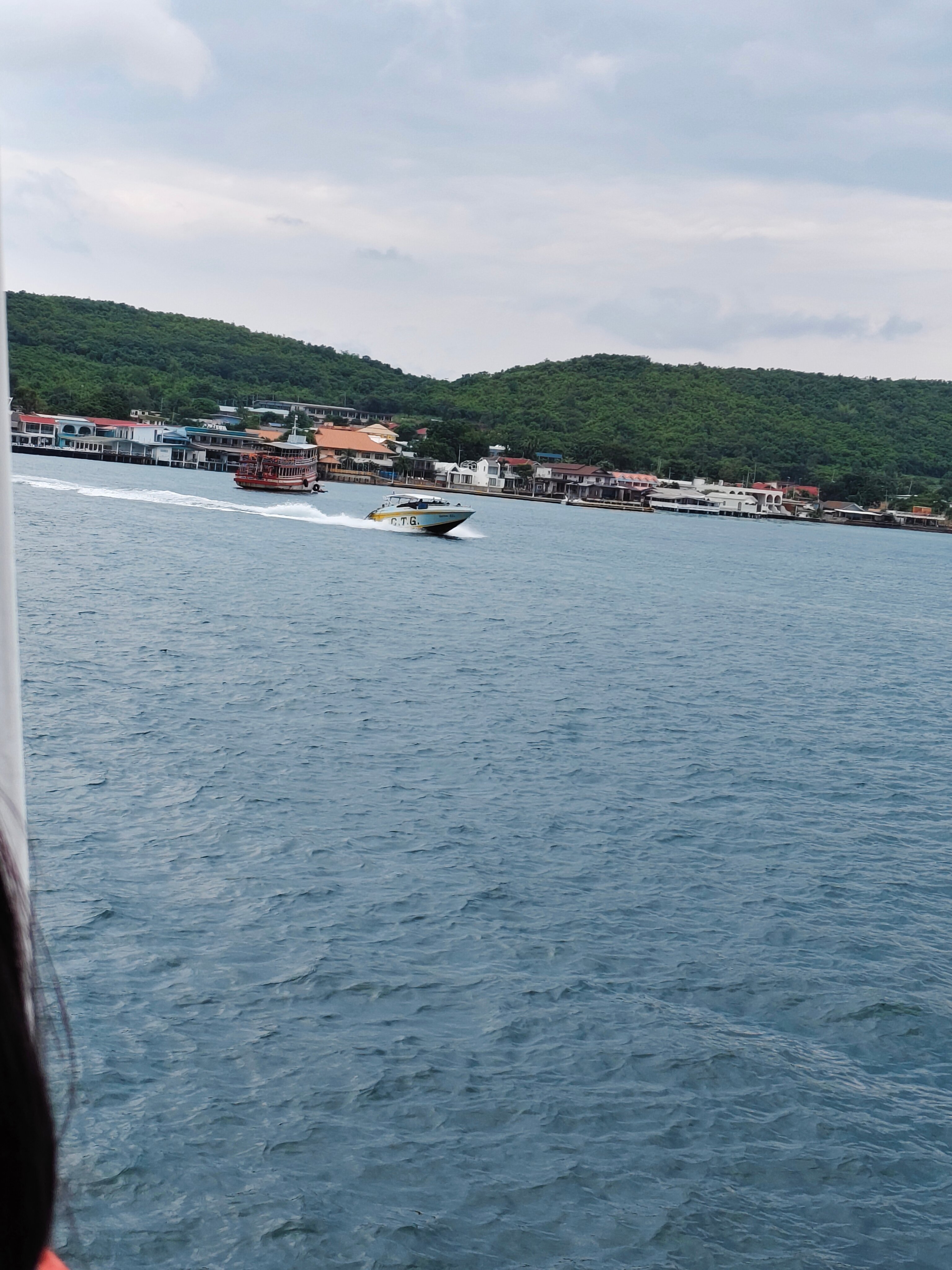 Фото Olive Tree Hotel