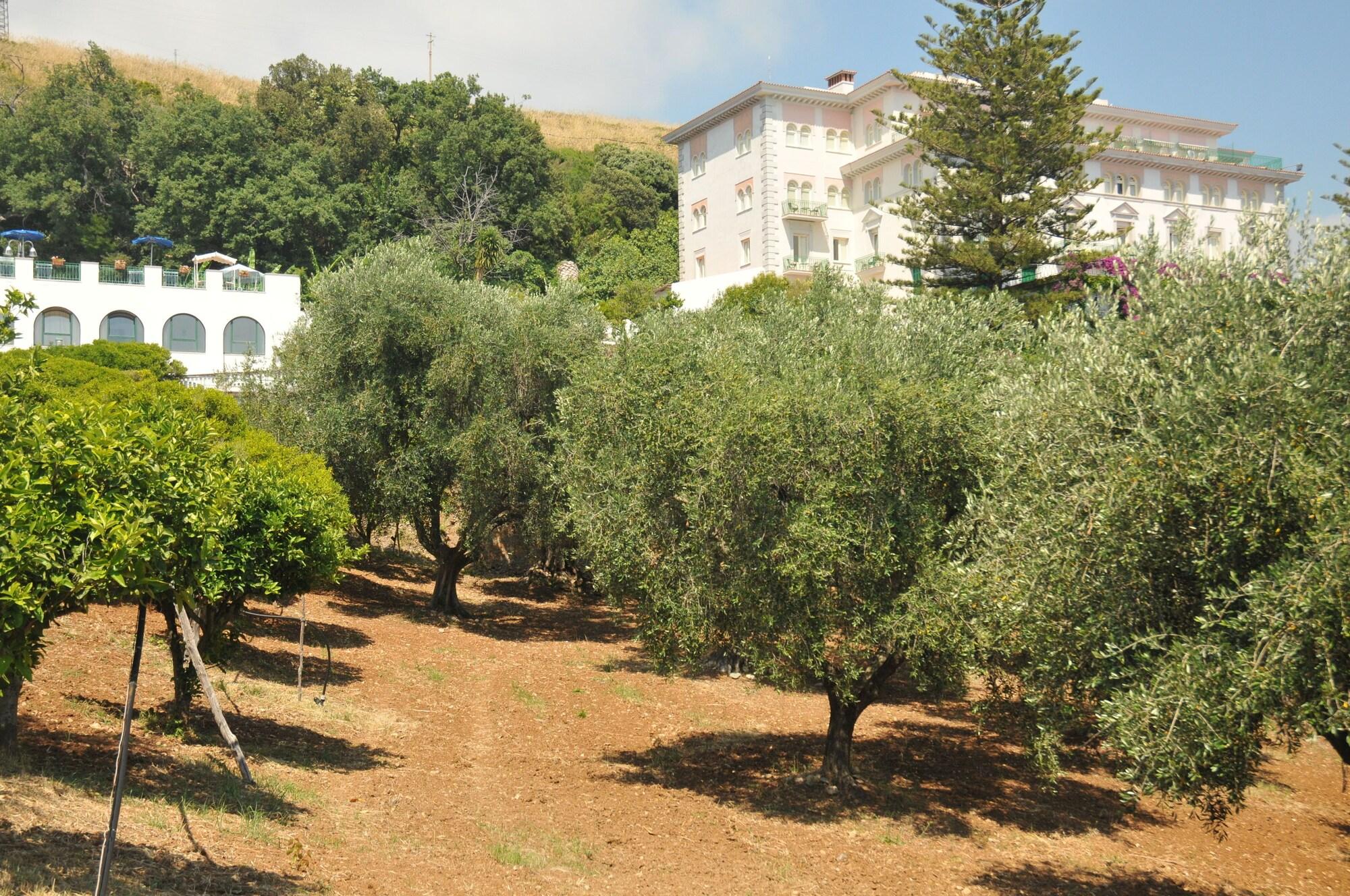 Фото Grand Hotel San Michele