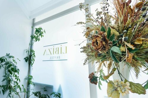 Гостиница Libiza в Гебзе