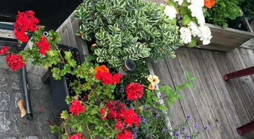 Гостиница Le Night в Фужер-Витре