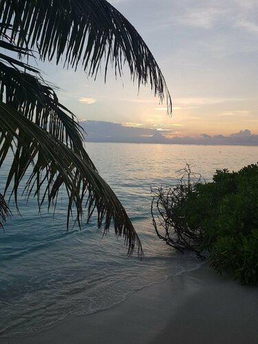 Гостиница Alesara Guest House на Атолле Алиф-Алиф