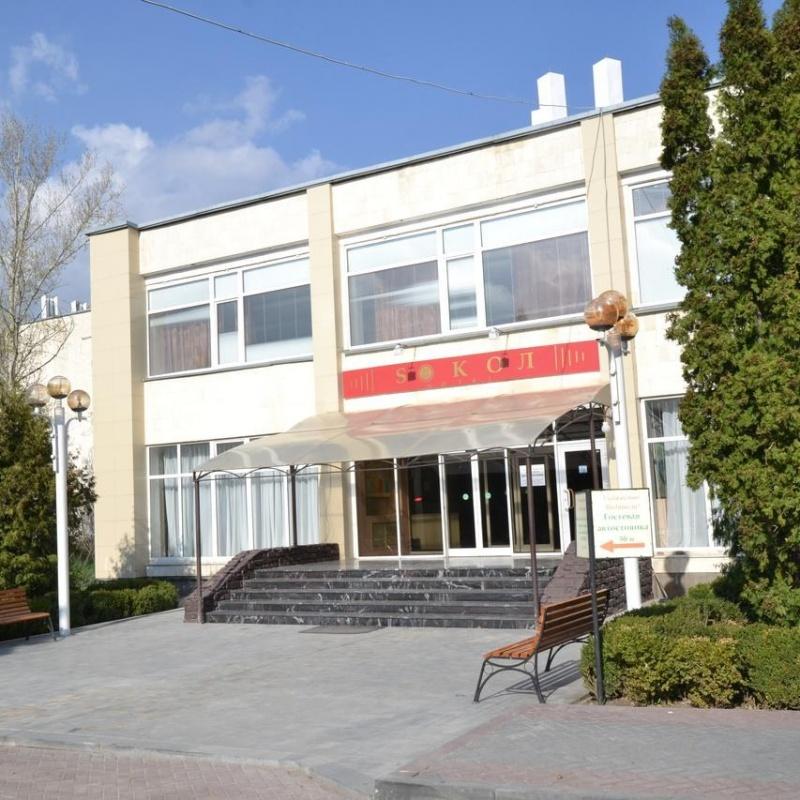 Фото Сокол