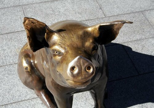 Гостиница Tollgate Motel в Южной Австралии