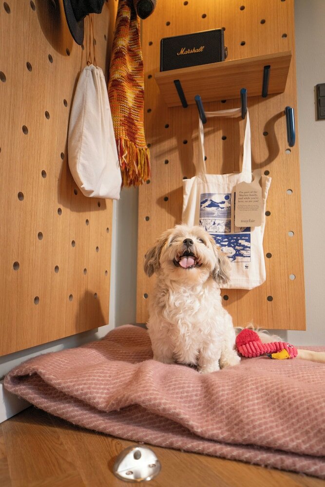 Фото Hotel Mayfair