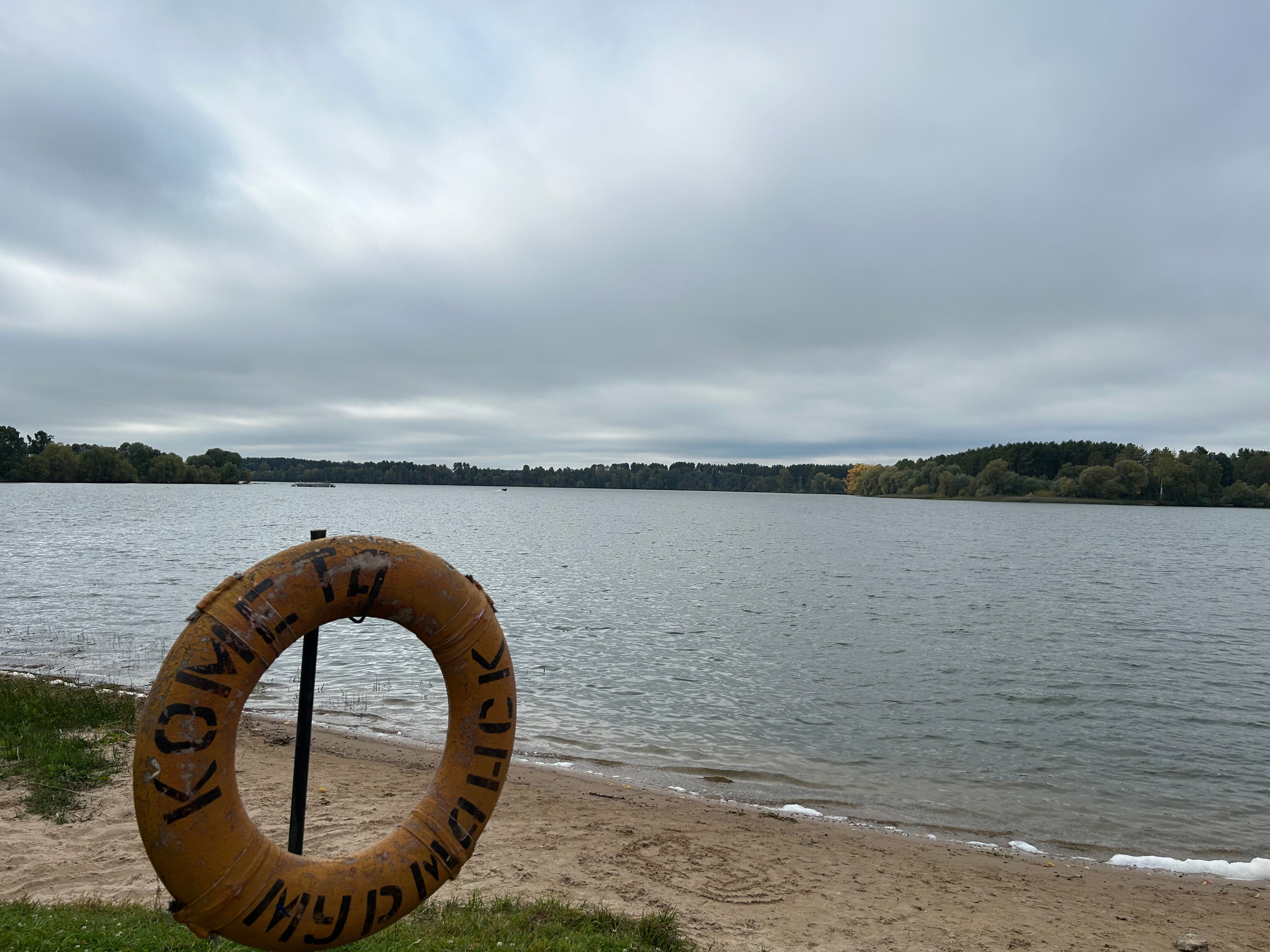 Фото Хвоя Бестужево