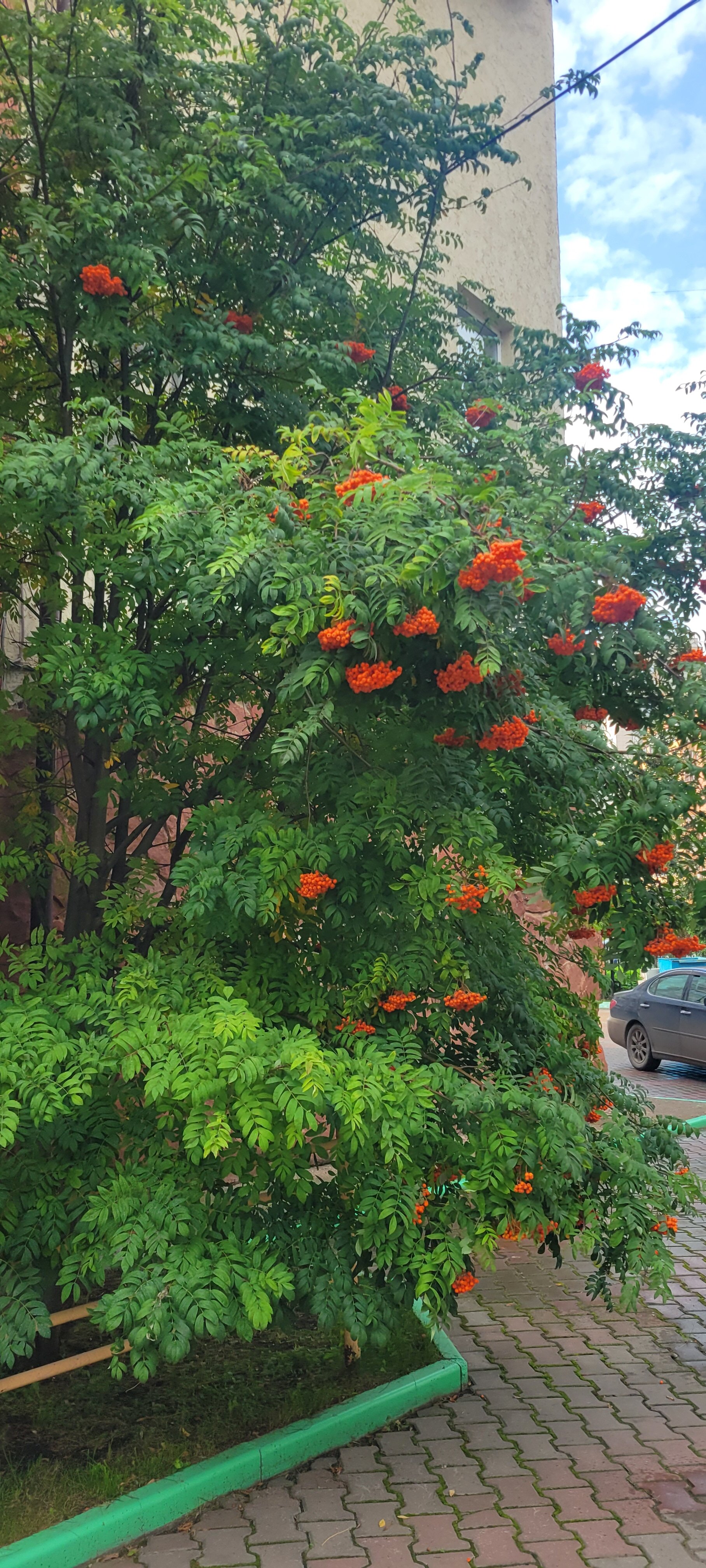 Фото Семь Пятниц