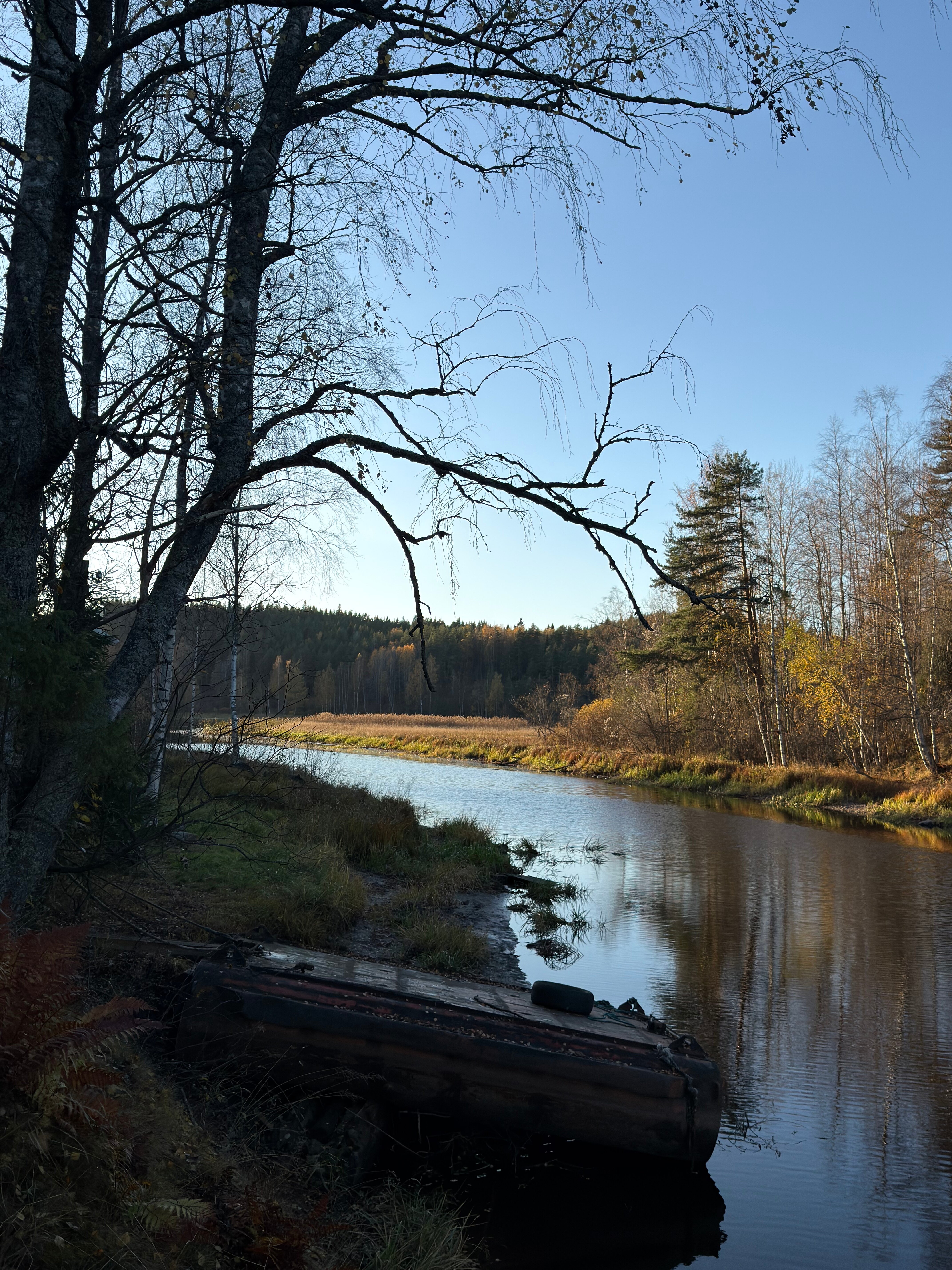 Фото Tikka-House