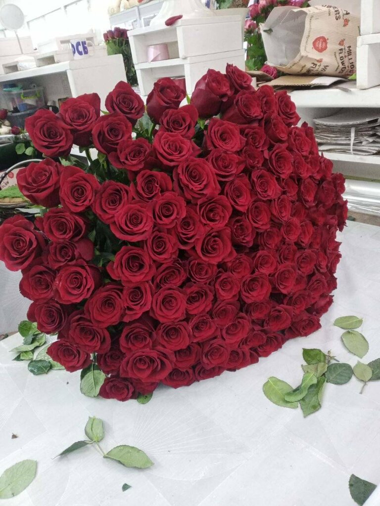 Александр Шевченко