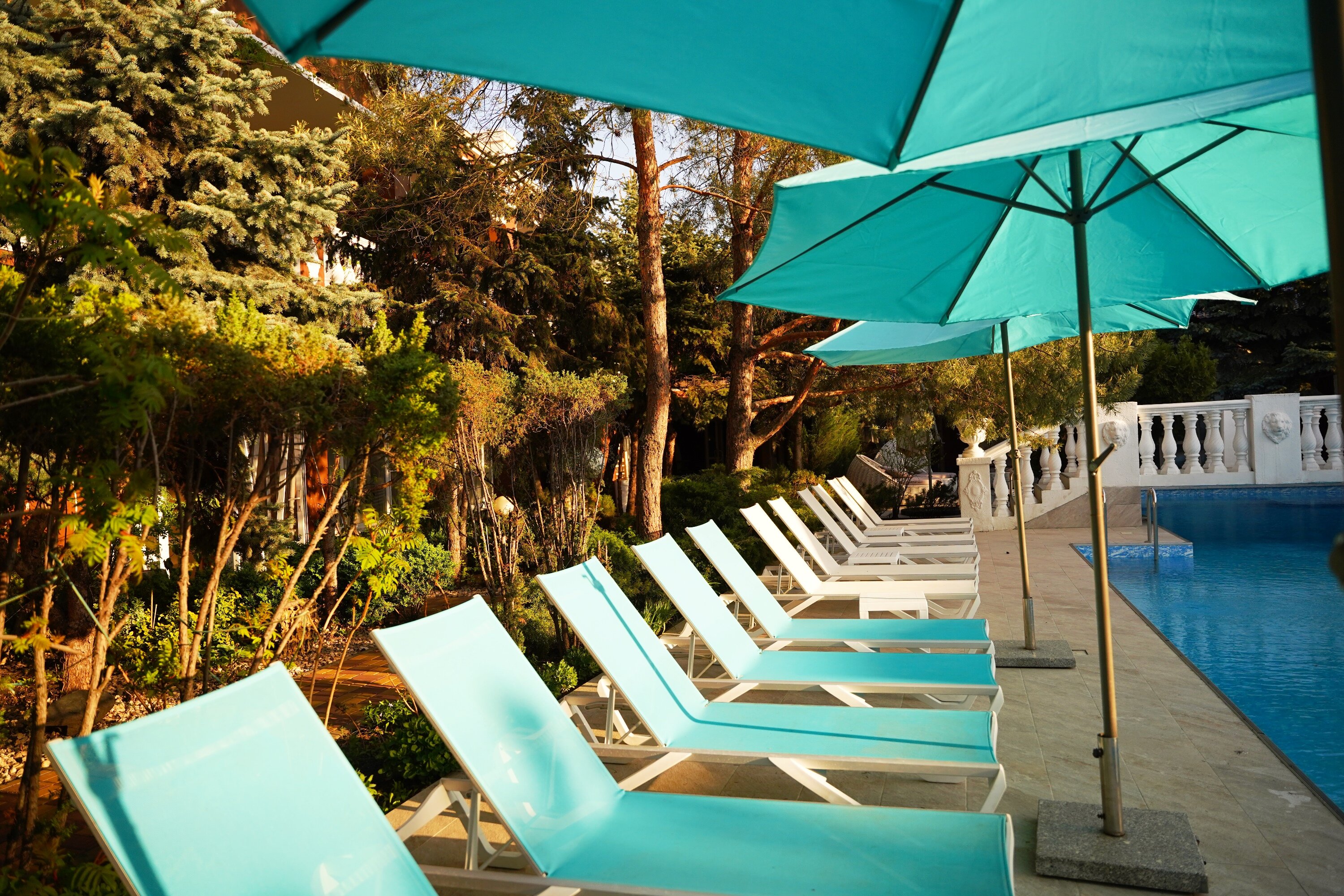 Фото Александр