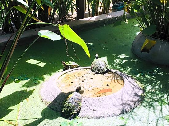 Фото Sahaa Beach Resort