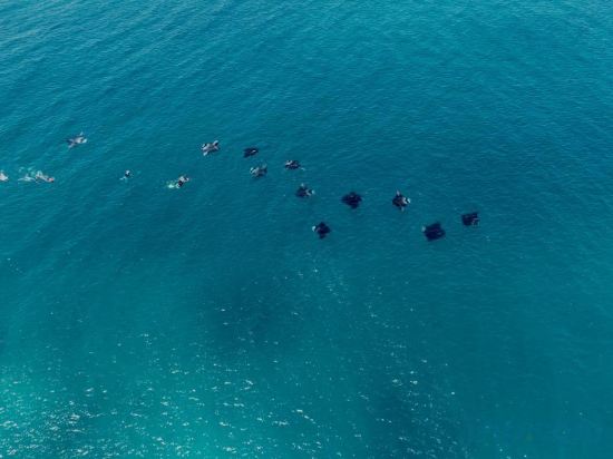 Фото Ramzu Villa Thoddoo