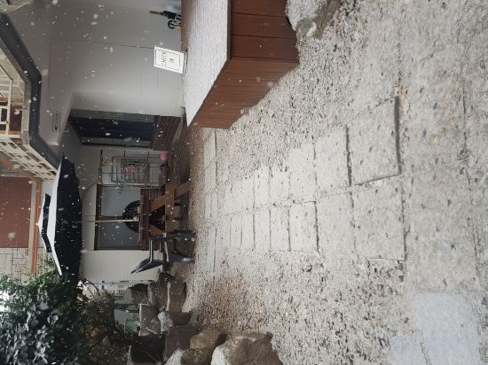 Фото Birdsnest Hostel Hongdae