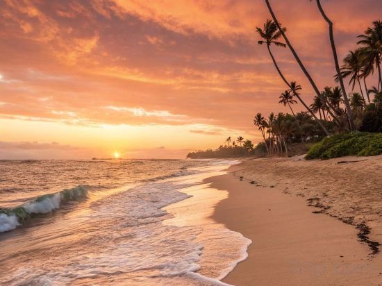 Фото Oceana Inn Maldives