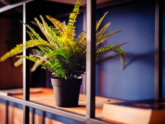 Фото Urban Hotel The Golden Stork