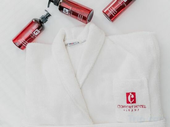 Фото Comfort Hotel Astana