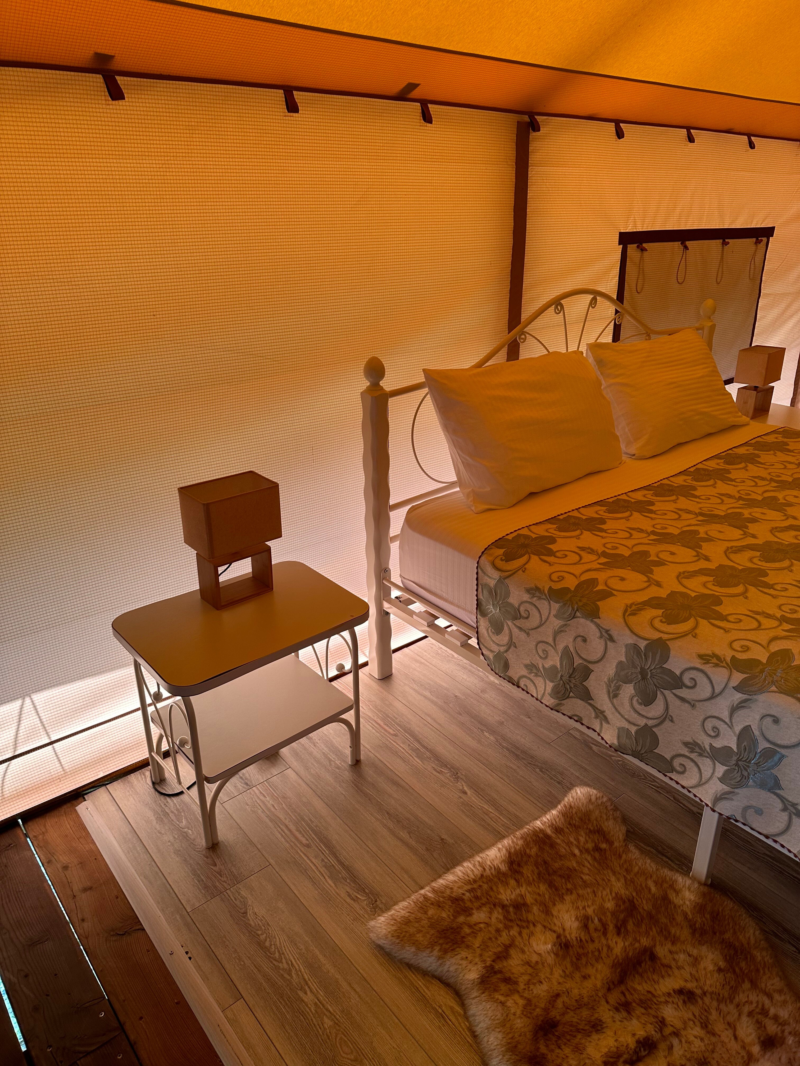 Фото Звезда