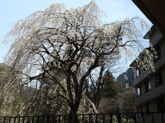 Фото Hakone Kowakien