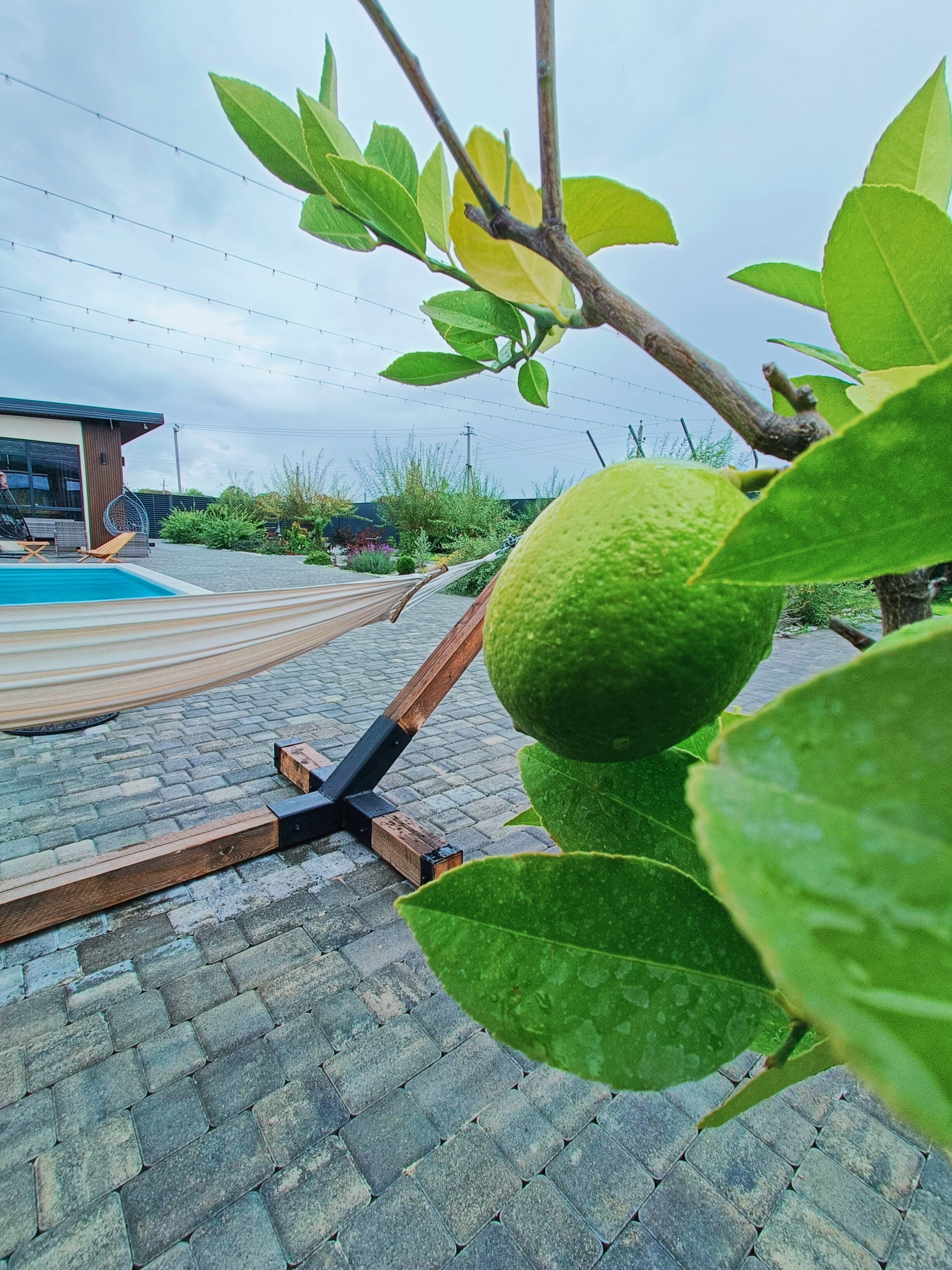 Фото Усадьба Намасте