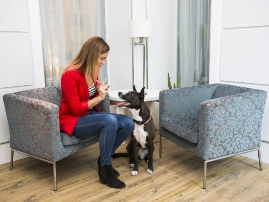 Фото Atrium Fashion Hotel