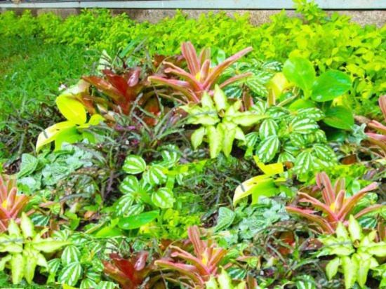 Фото At Residence Suvarnabhumi