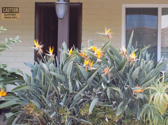 Фото El Patio Inn