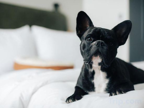 Фото Moxy Osaka Umeda