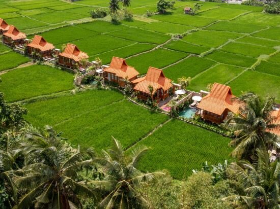 Фото The Kalyana Ubud Resort