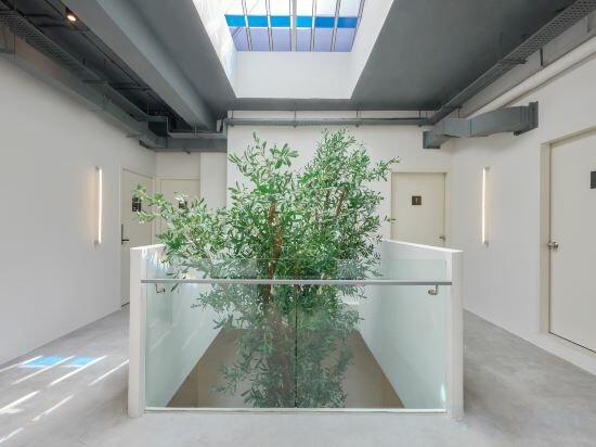 Фото Kinn Capsule